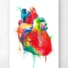 Herz Anatomie - Aquarell | Codex Anatomicus Fashion