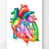 Herz Anatomie - Aquarell | Codex Anatomicus Clearance