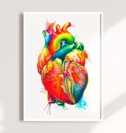 Herz Anatomie - Aquarell | Codex Anatomicus Online