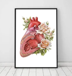 Herz Anatomie - Floral - Weiß | Codex Anatomicus Clearance