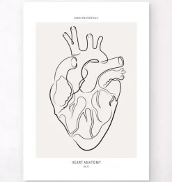 Herz Anatomie - Line-Art | Codex Anatomicus Hot