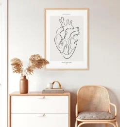 Herz Anatomie - Line-Art | Codex Anatomicus Hot