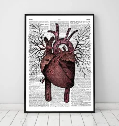 Herz Anatomie - Wörterbuch | Codex Anatomicus Outlet