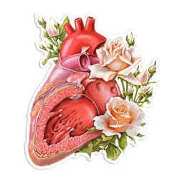 Herz Anatomie Aufkleber - Floral | Codex Anatomicus Best