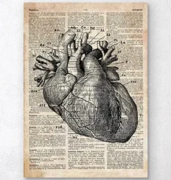 Herz Anatomie I - Altes Wörterbuch | Codex Anatomicus Outlet