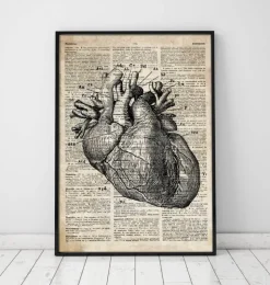 Herz Anatomie I - Altes Wörterbuch | Codex Anatomicus Outlet