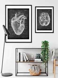 Herz Anatomie I - Chalkboard | Codex Anatomicus Discount