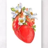 Herz Anatomie II - Floral - Weiß | Codex Anatomicus Clearance