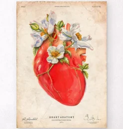Herz Anatomie II - Floral - Altes Papier | Codex Anatomicus Hot