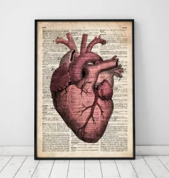 Herz Anatomie III - Alte Wörterbuch | Codex Anatomicus Online