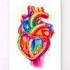 Herz Anatomie III - Aquarell | Codex Anatomicus Best