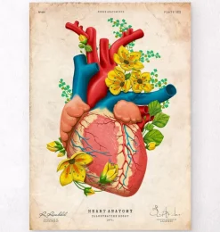 Herz Anatomie III - Floral - Vintage | Codex Anatomicus Discount