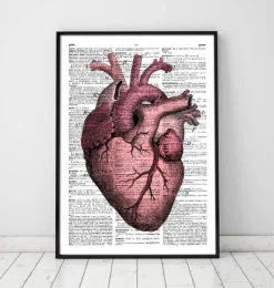 Herz Anatomie III - Wörterbuch | Codex Anatomicus New