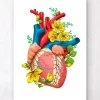 Herz Anatomie III- Floral - Weiß | Codex Anatomicus Clearance