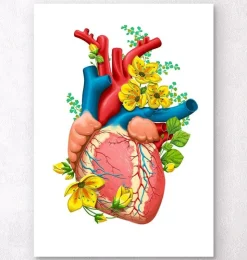 Herz Anatomie III- Floral - Weiß | Codex Anatomicus Clearance