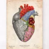 Herz Anatomie mit Blumen - Altes Papier | Codex Anatomicus Sale