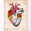 Herz Anatomie mit Blumen II - Altes Papier | Codex Anatomicus Discount