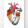 Herz Anatomie mit Blumen II - Weiß | Codex Anatomicus Outlet