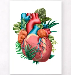 Herz Anatomie V - Floral - Weiß | Codex Anatomicus Online