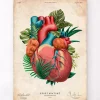 Herz Anatomie V - Floral - Vintage | Codex Anatomicus Sale