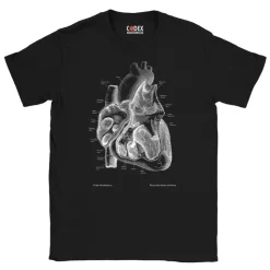 Herz II Unisex T-Shirt - Chalkboard | Codex Anatomicus New