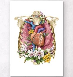 Herz, Lunge und Brustkorb - Floral - Weiß | Codex Anatomicus Fashion