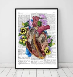 Herz mit Blumen II - Wörterbuch | Codex Anatomicus Best