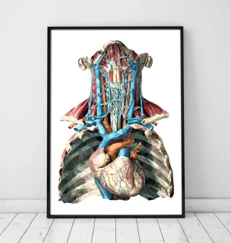 Herz und Arterien - Geometrisch | Codex Anatomicus Best