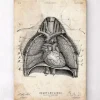 Herz und Lunge Anatomie Kunst II | Codex Anatomicus New