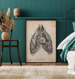 Herz und Lunge Anatomie Kunst III | Codex Anatomicus Best