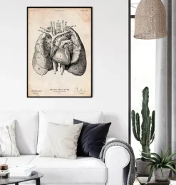 Herz und Lunge Anatomie Kunst I | Codex Anatomicus Outlet