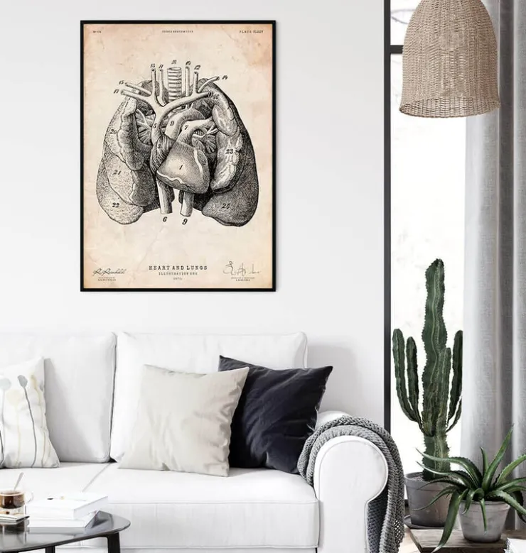 Herz und Lunge Anatomie Kunst I | Codex Anatomicus Outlet