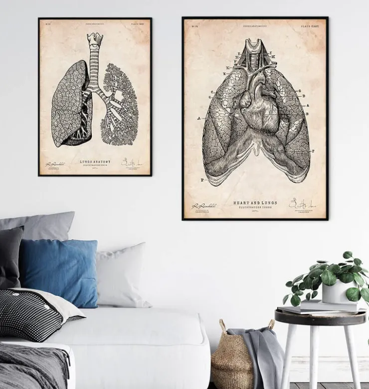 Herz und Lunge Anatomie Kunst III | Codex Anatomicus Best