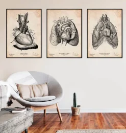 Herz und Lunge Anatomie Kunst I | Codex Anatomicus Outlet
