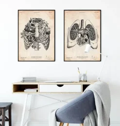 Herz und Lunge Anatomie V | Codex Anatomicus Discount