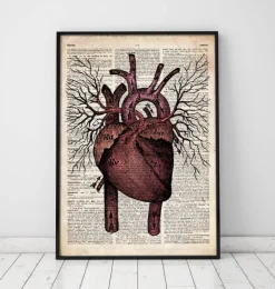 Herzanatomie II - Altes Wörterbuch | Codex Anatomicus Online