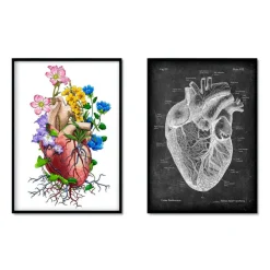 Herzanatomiemix - 5er Set | Codex Anatomicus Best