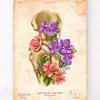 Hüfte Anatomie - Floral - Vintage | Codex Anatomicus Fashion