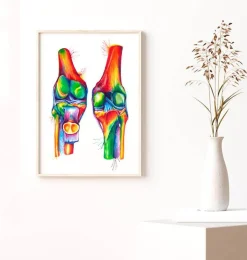 Knie Anatomie - Aquarell | Codex Anatomicus Hot