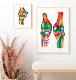 Knie Anatomie - Aquarell | Codex Anatomicus Hot