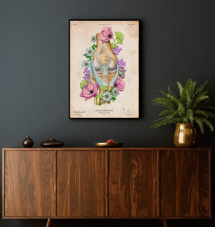 Knie Anatomie - Floral - Vintage | Codex Anatomicus Online