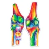 Knie Anatomie Aufkleber - Aquarell | Codex Anatomicus Outlet