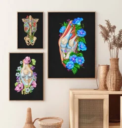 Knie Anatomie II - Floral - Schwarz | Codex Anatomicus New