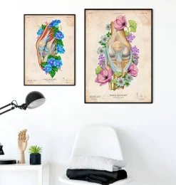 Knie Anatomie II - Floral - Vintage | Codex Anatomicus Hot