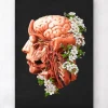Kopf, Gehirn und Arterien - Floral - Schwarz | Codex Anatomicus Clearance