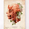 Kopf, Gehirn und Arterien - Floral - Altes Papier | Codex Anatomicus Online