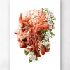 Kopf, Gehirn und Arterien - Floral - Weiß | Codex Anatomicus New