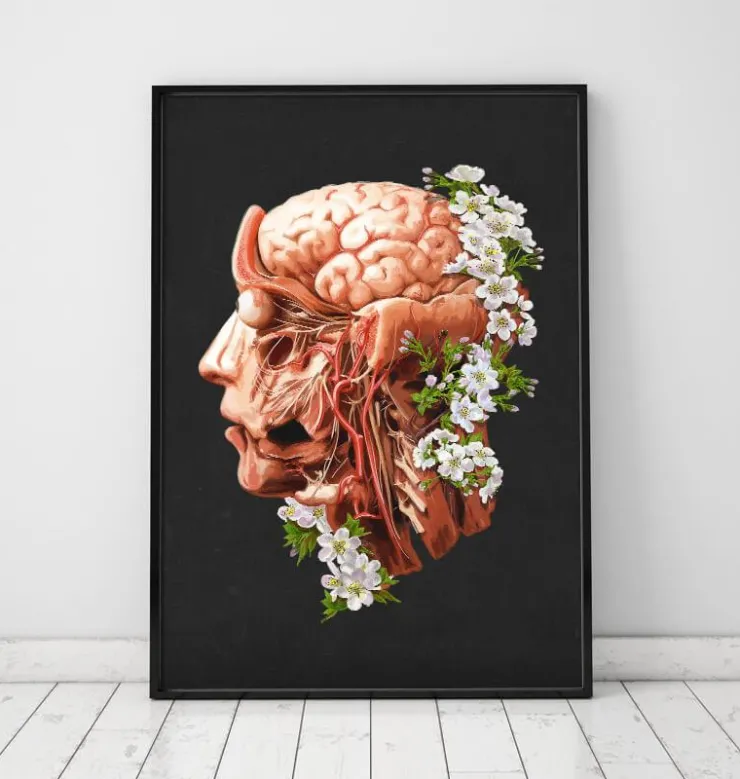 Kopf, Gehirn und Arterien - Floral - Schwarz | Codex Anatomicus Clearance