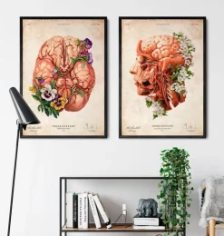 Kopf, Gehirn und Arterien - Floral - Altes Papier | Codex Anatomicus Online