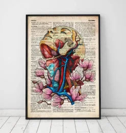 Kopf, Hals und Arterien - Altes Wörterbuch | Codex Anatomicus Fashion